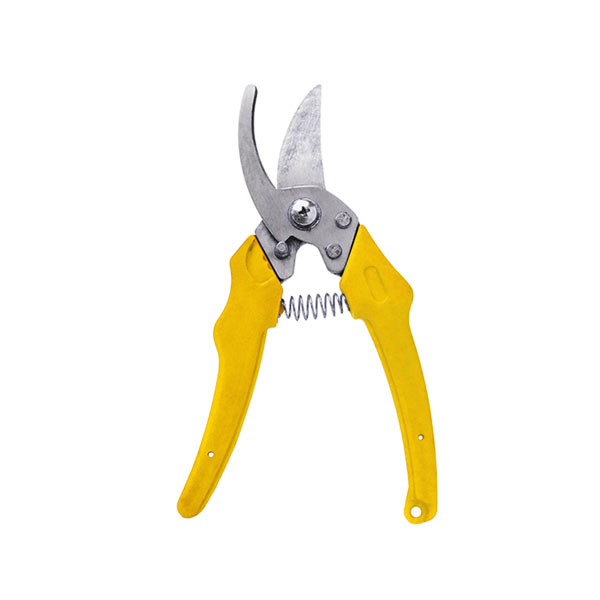 مجموعة خاصة